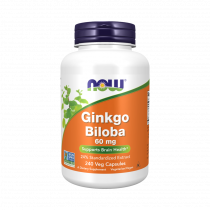 NOW Ginkgo Biloba 60 mg